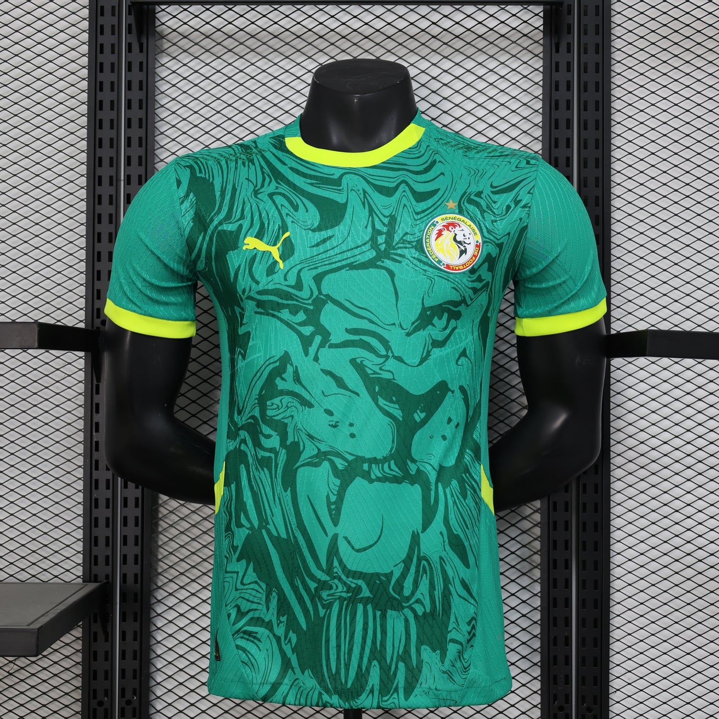 Senegal Special Jersey