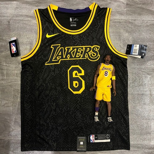 Lakers snakeskin No. 6 James