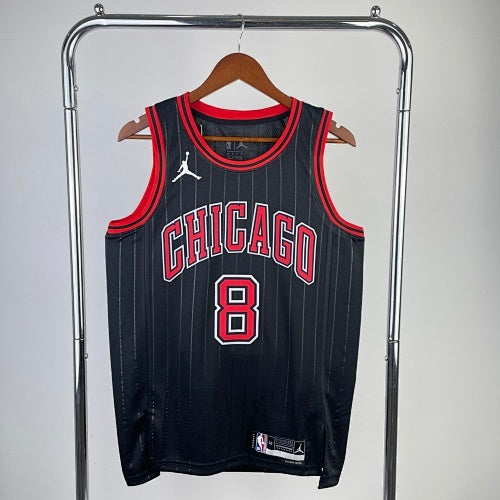 23rd Season Bulls Flyers Limited No. 8 LaVine