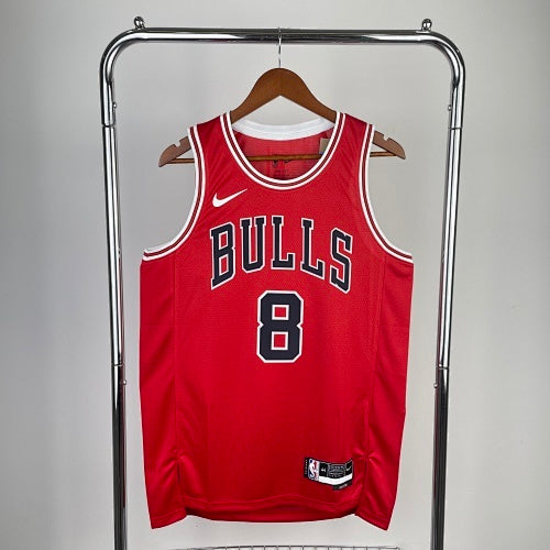 23rd Season Bulls Red No. 8 LaVine