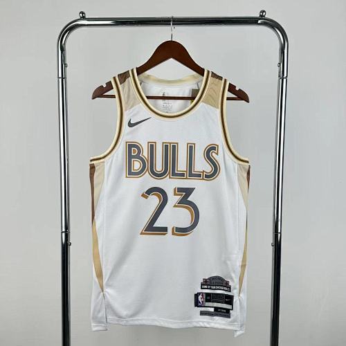 25th Season Bulls City Edition No. 23 Jordan