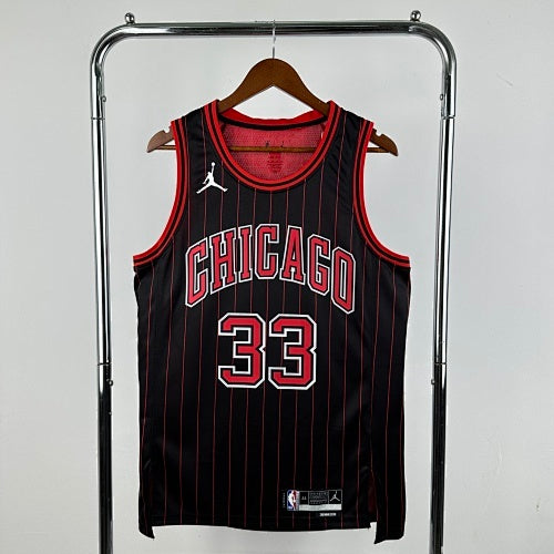 26th Season Bulls Flyers Limited No. 33 Pippen