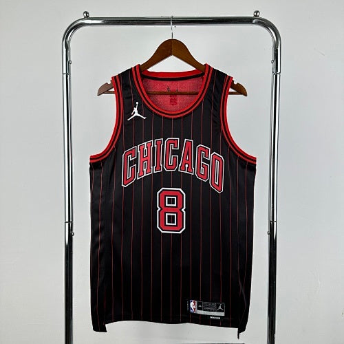 26th Season Bulls Flyers Limited No. 8 LaVine