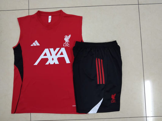 Liverpool Training I Shirts
