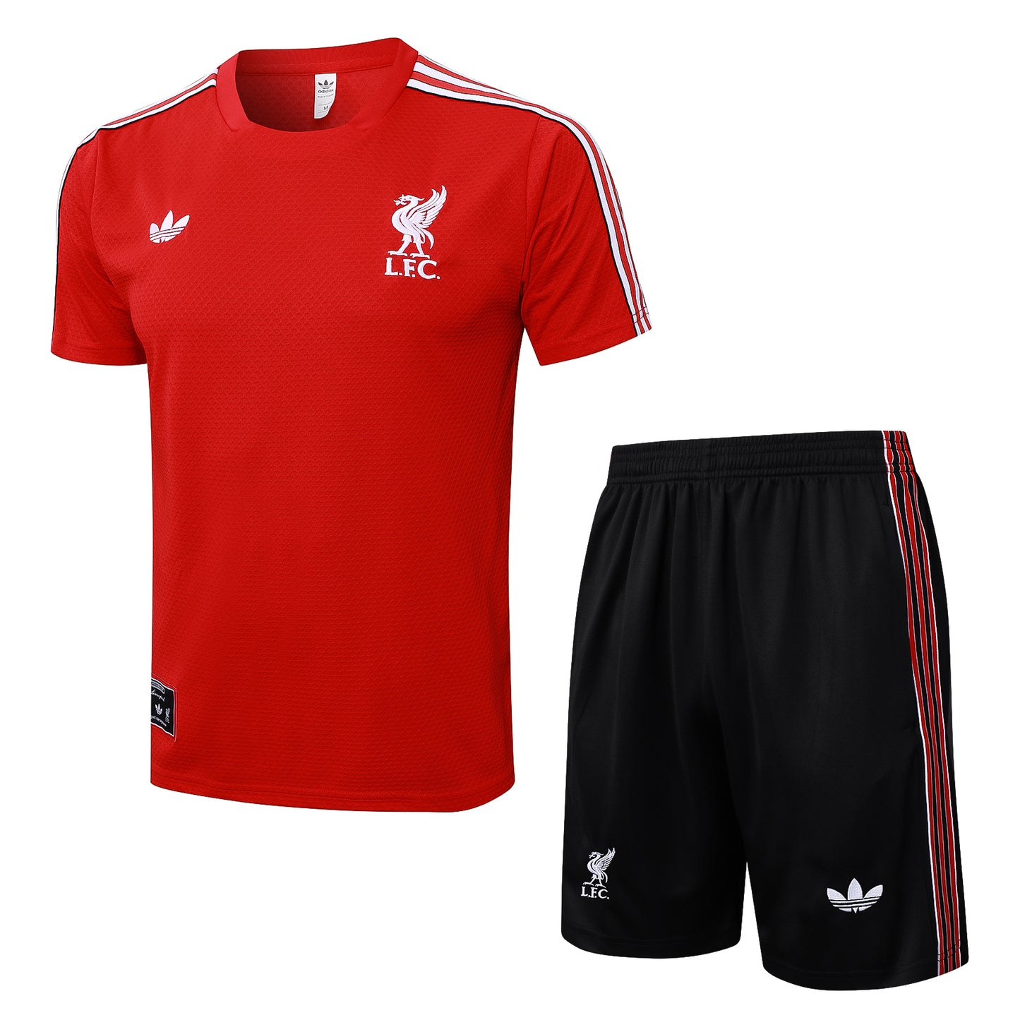 Liverpool Training Set